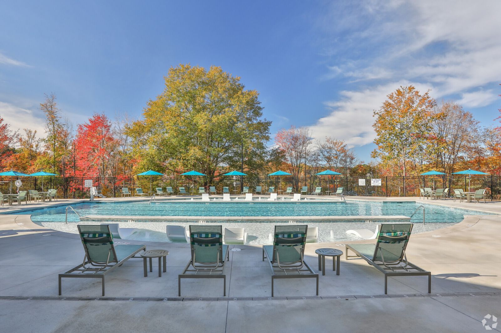 outdoor pool and loungers